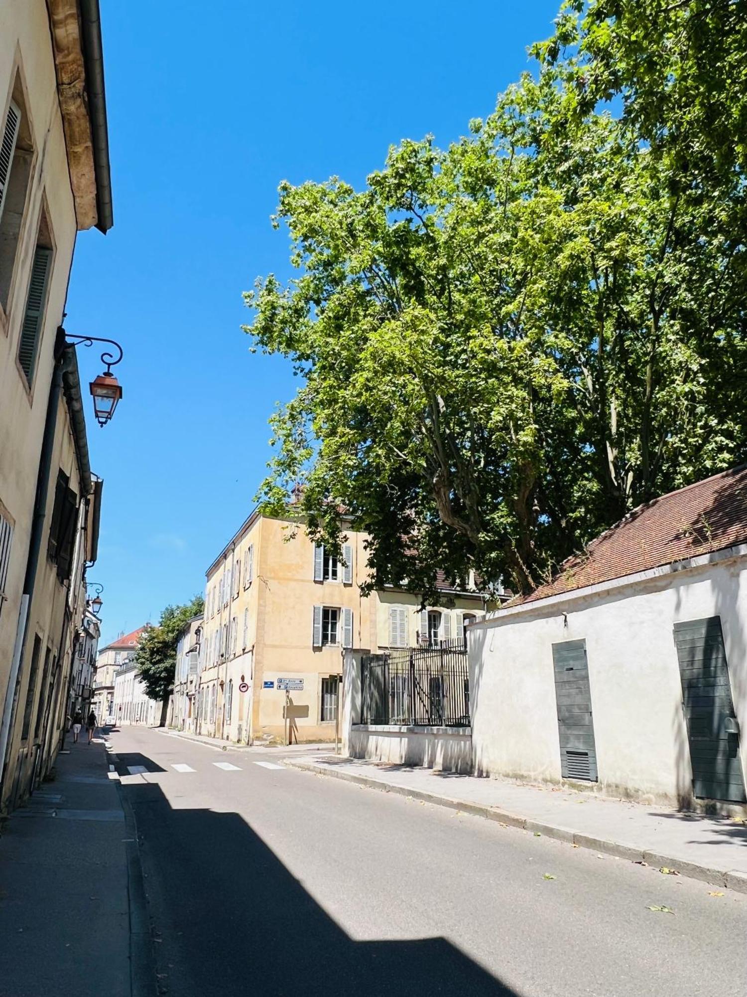 Ferienwohnung Charmant T2 Au Coeur De Dijon Exterior foto